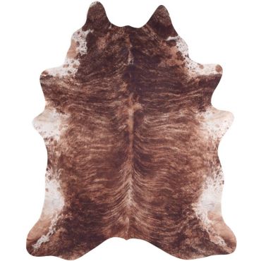 Carpet Lingua