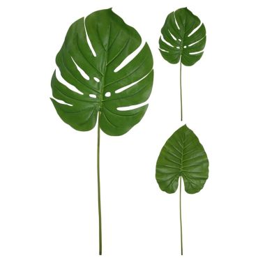 Ανάμικτα φύλλα Μονστέρα & Φιλόδενδρου