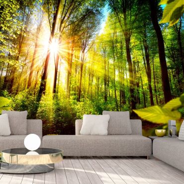 Wallpaper - Forest Hideout
