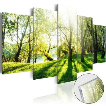 Acrylic Print - Green Glade [Glass]