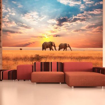 Φωτοταπετσαρία - African savanna elephants
