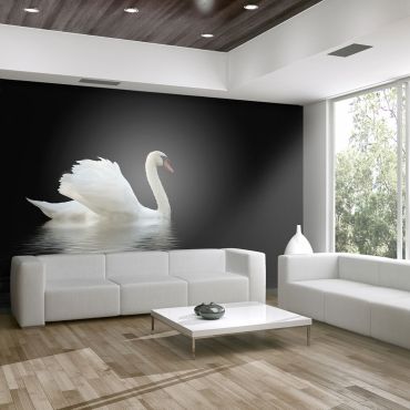 Φωτοταπετσαρία - swan (black and white)
