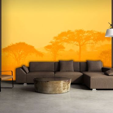 Φωτοταπετσαρία - Orange savanna