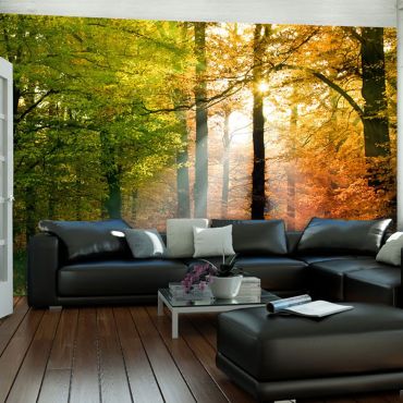 Wallpaper - Beautiful autumn
