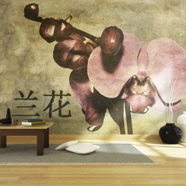 Wallpaper - Japanese orchid