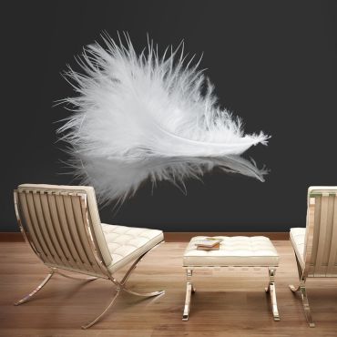 Φωτοταπετσαρία - White feather