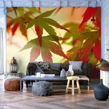 Wallpaper - Colourful leaves