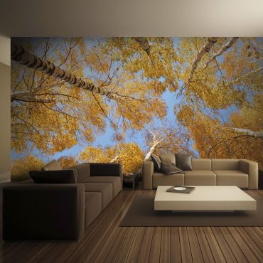 Φωτοταπετσαρία - Autumnal treetops