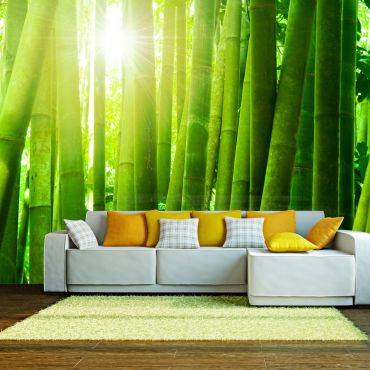 Wallpaper - Sun and bamboo