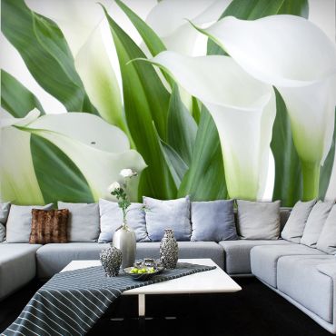 Wallpaper - bunch of flowers - callas