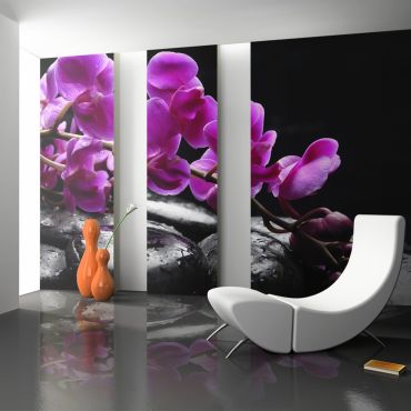 Φωτοταπετσαρία - Relaxing moment: orchid flower and stones