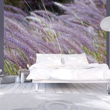 Wallpaper - Green field and purple flowers