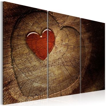 Canvas Print - Old love does not rust - 3 pieces