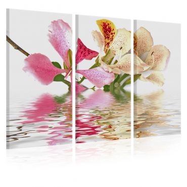 Πίνακας - Orchid with colorful spots