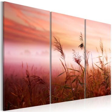 Canvas Print - A silent meadow