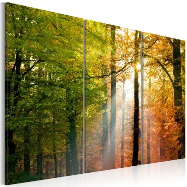 Πίνακας - A calm autumn forest