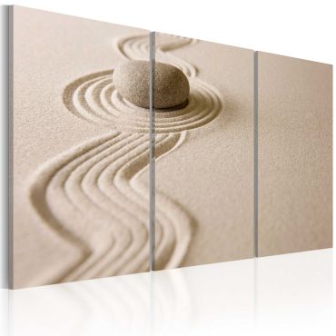 Canvas Print - A stone in a desert