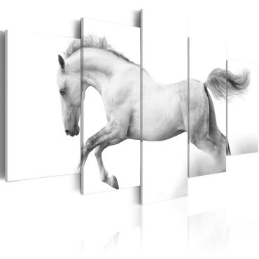 Πίνακας - Horse- passion and freedom