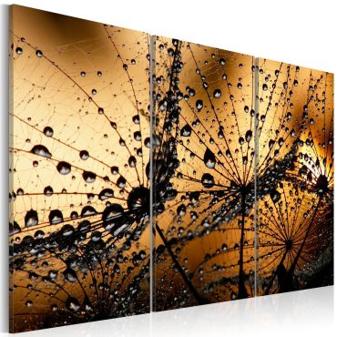 Canvas Print - Dandelions and dew