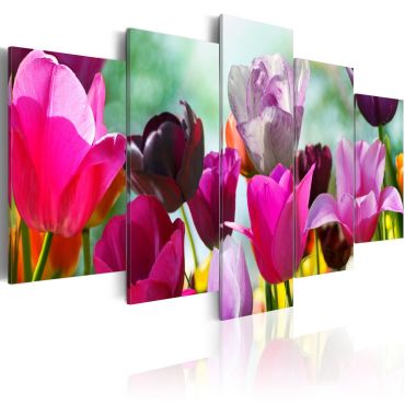 Canvas Print - Pink fun