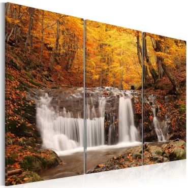 Πίνακας - A waterfall in the middle of fall trees