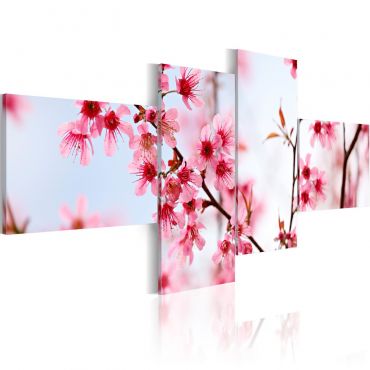 Πίνακας - Beauty of the cherry flowers