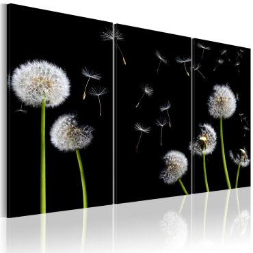 Canvas Print - Dandelions family