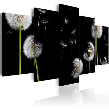 Canvas Print - Dandelion- towards freedom