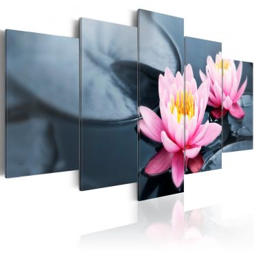 Canvas Print - Waterlily dream