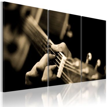 Canvas Print - The magic sound of a guitar