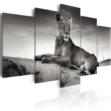 Canvas Print - Lioness in a desert