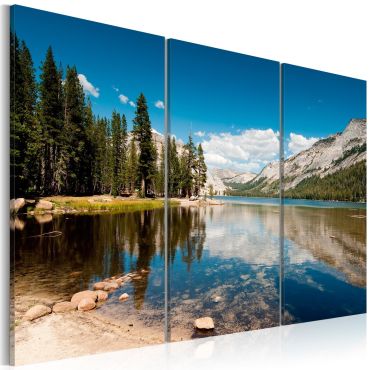 Canvas Print - Mountains, trees and pure lake