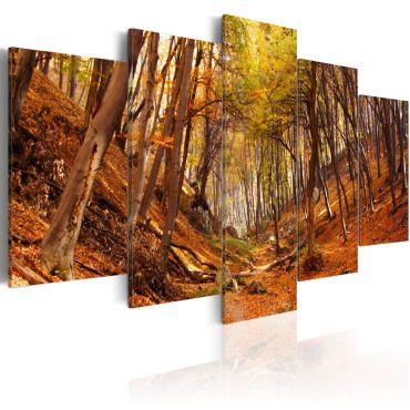 Canvas Print - Orange autumn