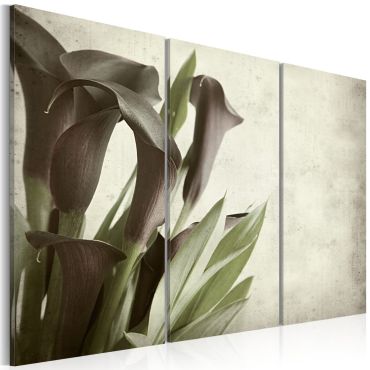 Canvas Print - callas - vintage
