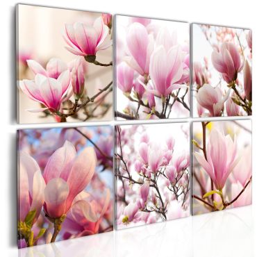 Πίνακας - Southern magnolias
