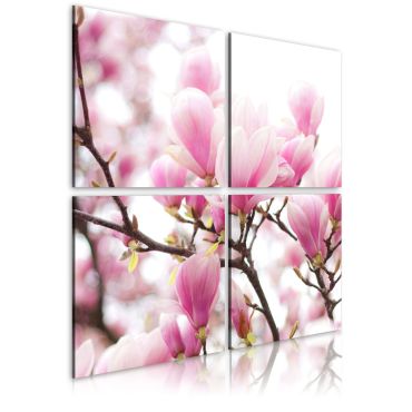 Canvas Print - Blooming magnolia tree