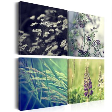 Canvas Print - Magical field