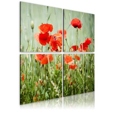 Canvas Print - Springtime