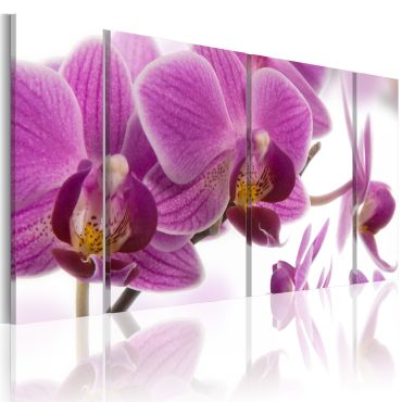 Canvas Print - Marvelous orchid