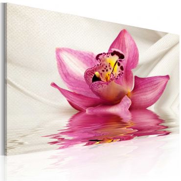 Πίνακας - Unusual orchid 60x40