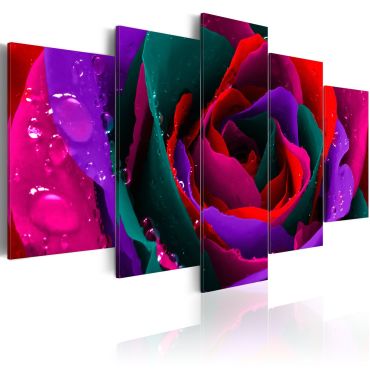 Πίνακας - Multicoloured rose