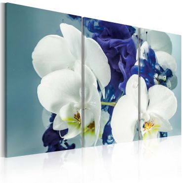Πίνακας - Chimerical orchids