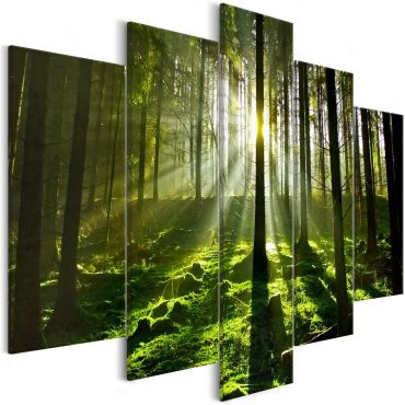 Canvas Print - Peace of Mind (5 Parts) Wide 225x100