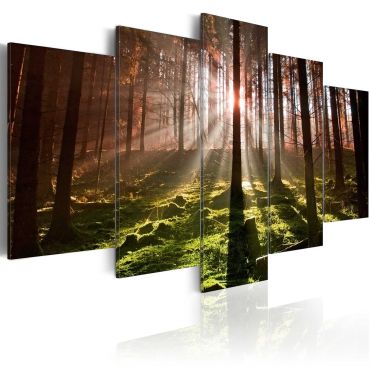 Canvas Print - Autumn silence