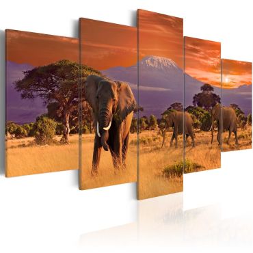 Canvas Print - Africa: Elephants