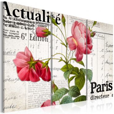 Canvas Print - Paris directeur