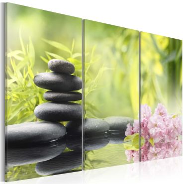 Canvas Print - Zen composition