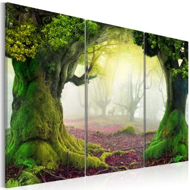 Canvas Print - Mysterious forest - triptych