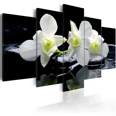 Πίνακας - Melancholic orchids