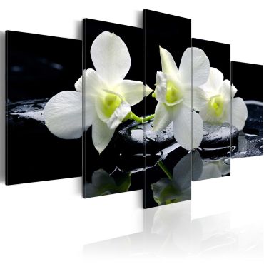 Canvas Print - Melancholic orchids